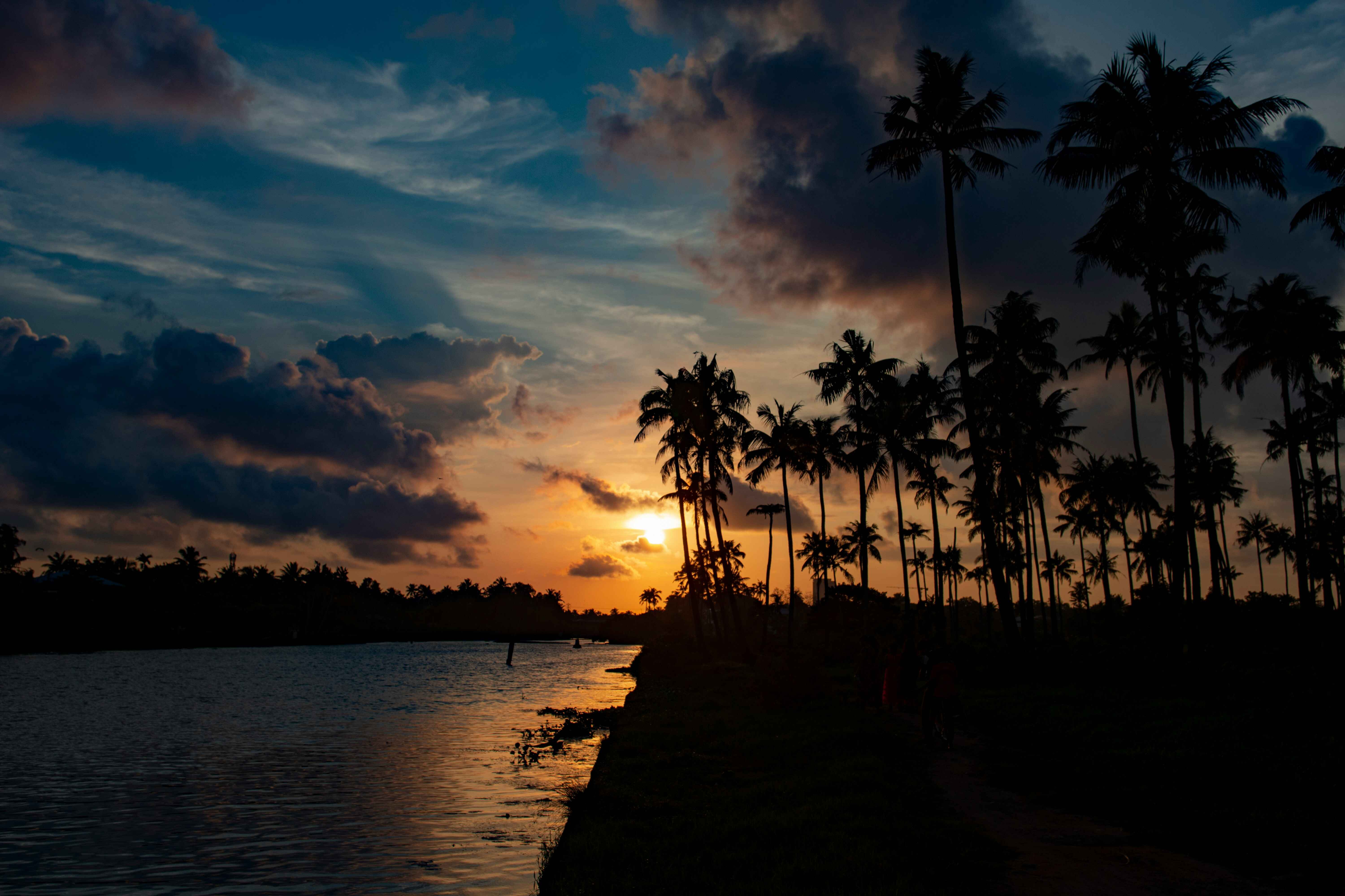 Kerala Gallery Image 4