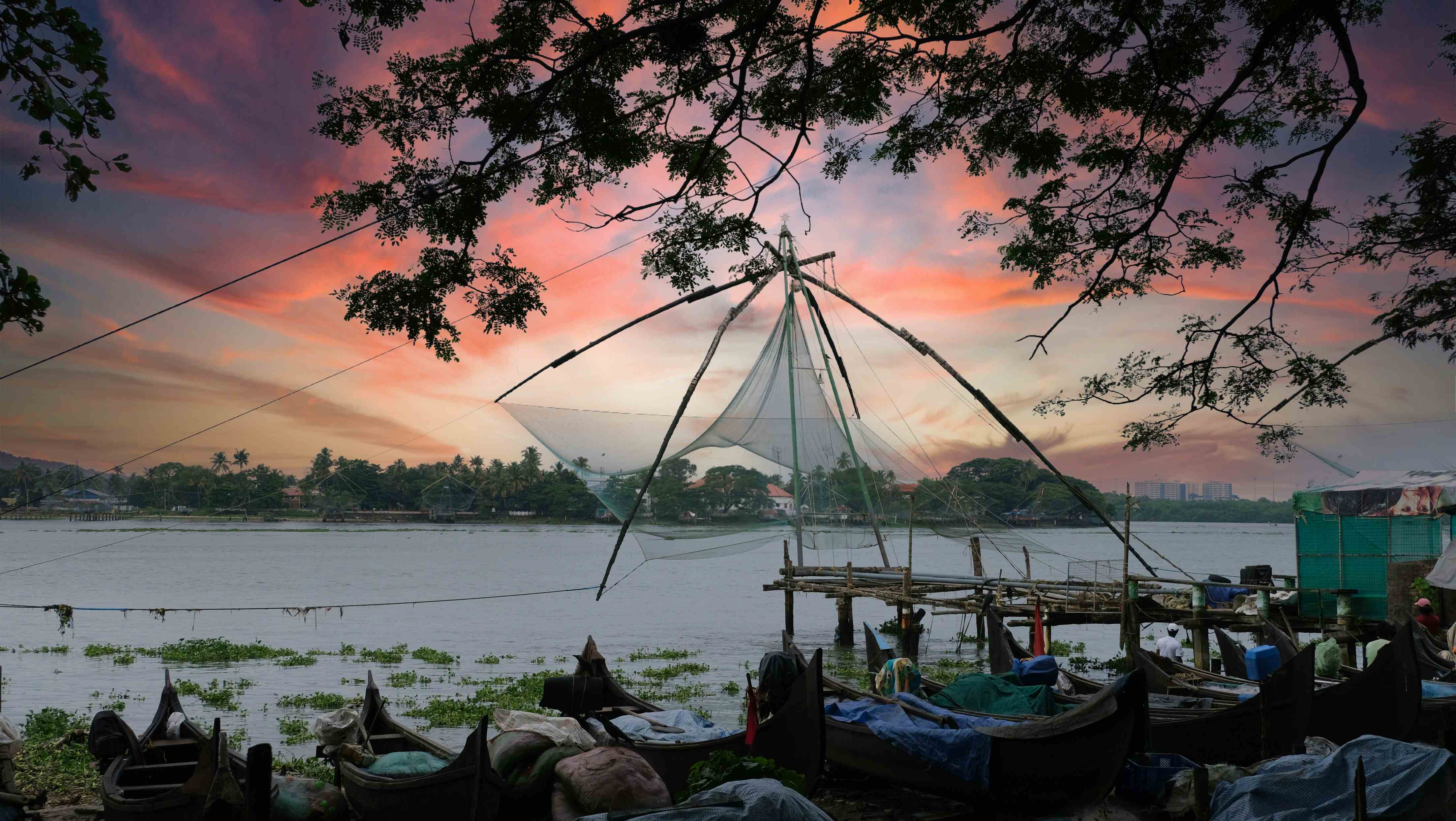 Kerala Gallery Image 5