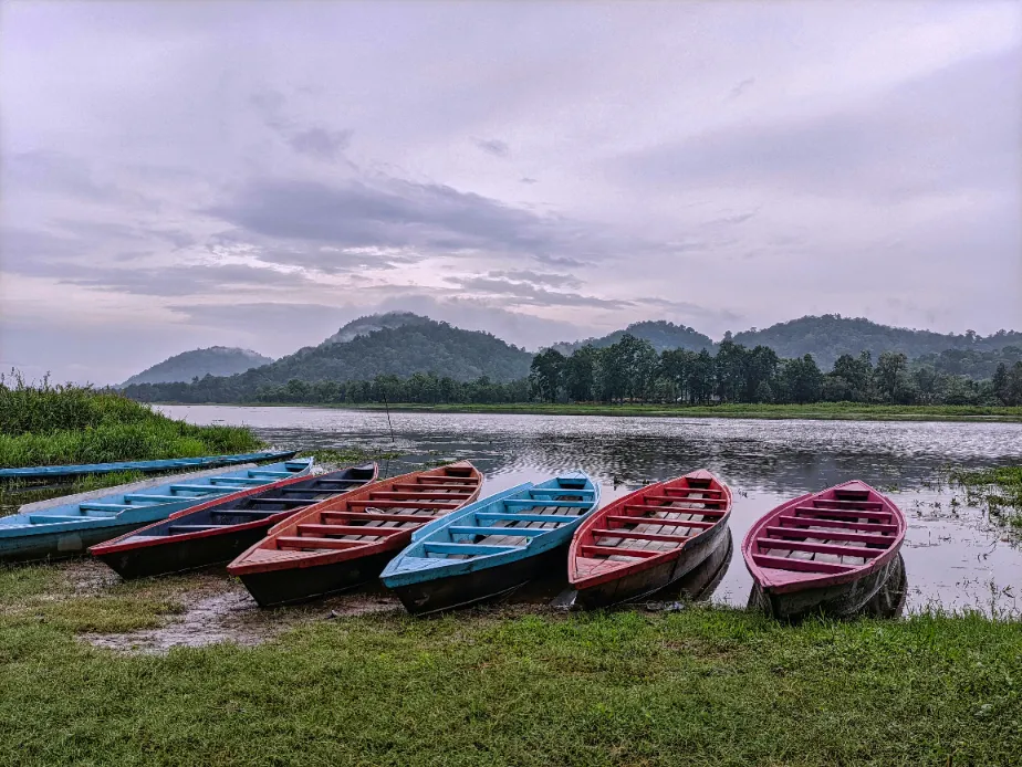 Assam Gallery Image 2